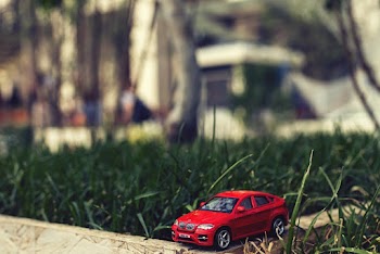 Red Bmw Car Scale Model by Grass