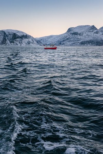 red boat in on body of water