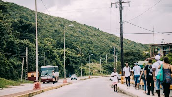 Red Bus on Road