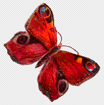 Red Butterfly PNG Pic