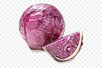 red cabbage cabbage pink magenta food