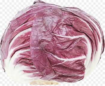 red cabbage cabbage vegetable pink wild cabbage