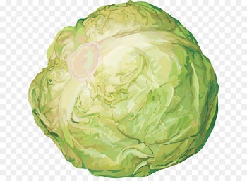 Red cabbage Cauliflower Portable Network Graphics Vegetable - cabbage 