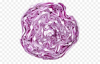 Red cabbage Cauliflower Vegetable Drawing - Purple cabbage 