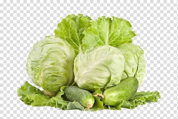 Red cabbage Coleslaw Cauliflower Hot pot, Vegetable cabbage transparent background PNG clipart