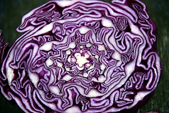 red_cabbage.jpg