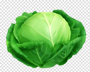 Red cabbage Savoy cabbage Leaf vegetable, Green cabbage transparent background PNG clipart