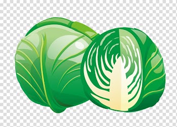 Red cabbage Savoy cabbage Vegetable, cabbage transparent background PNG clipart