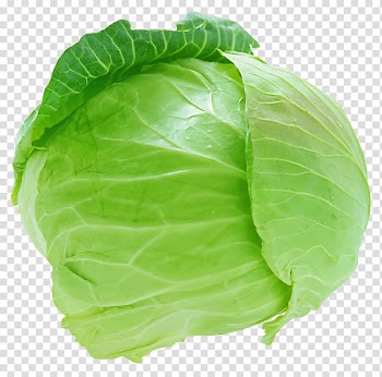 Red cabbage Vegetable Cauliflower, Cabbage transparent background PNG clipart