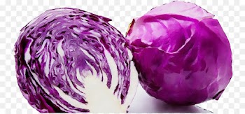 red cabbage vegetable purple violet cabbage
