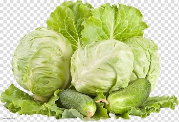 Red cabbage White cabbage Vegetable Cauliflower, Cabbage transparent background PNG clipart