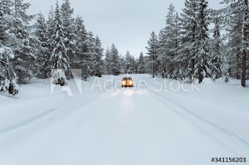 Red car in snowy forest