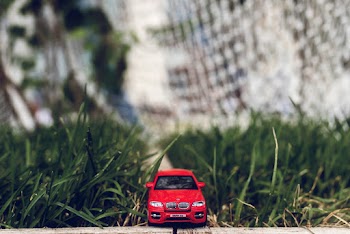 Red Car Toy on Green Grass