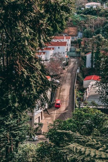 red car travelling on road between house and trees