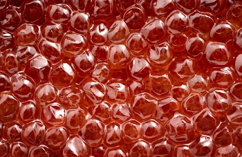 red caviar