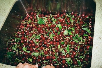 Red Cherries