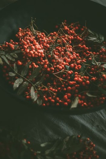red cherries fruit