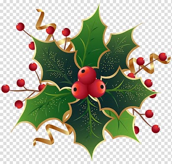 Red cherries illustration, Christmas Eve at Friday Harbor Common holly Mark Nagle The Ivy Green, Christmas Holly Mistletoe transparent background PNG clipart