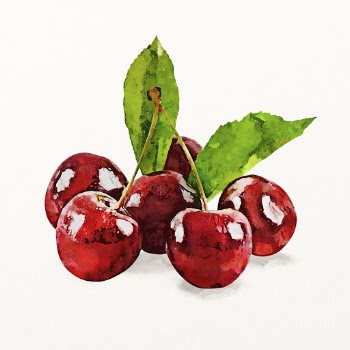 Red cherry clipart, watercolor fruit | Free Photo Illustration - rawpixel