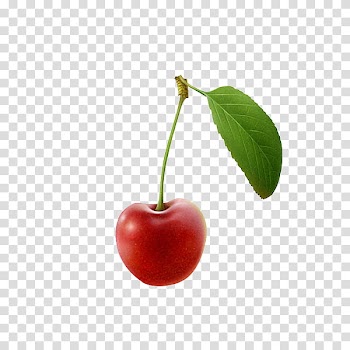 , red cherry fruit with leaf transparent background PNG clipart