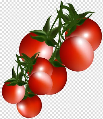 Red cherry victor art, Vegetable , Tomatoes Branch transparent background PNG clipart