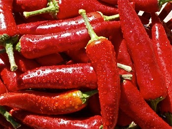 Red Chili Pepper
