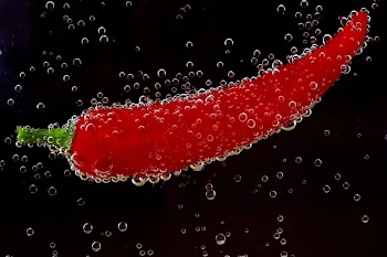 Red Chili Pepper Submerge on Water