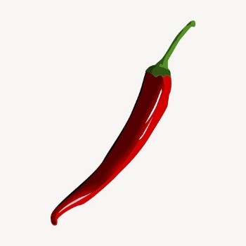 Red chili sticker, vegetable illustration | Free Vector - rawpixel
