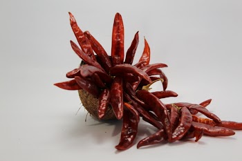 Red Chilis