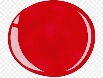 red circle plate dishware tableware