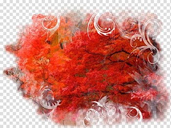 Red Collage Flower , autumn transparent background PNG clipart