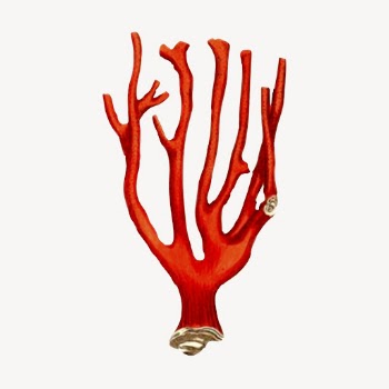 Red coral collage element, sea | Free PSD - rawpixel