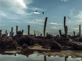 Red Corral Reef Under Cloudy Blue Sky