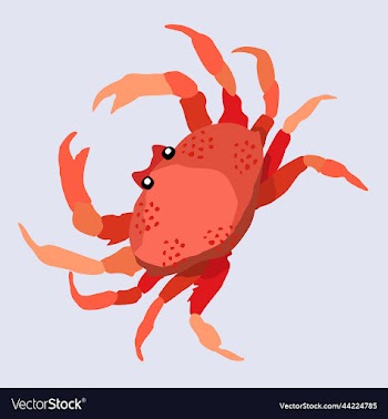 red crab exotic marine animal