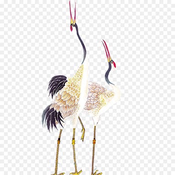 Red-crowned crane Bird Painting - Crane 