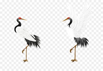 Red-crowned crane Jichang Garden Bird Budaya Tionghoa - Crane 