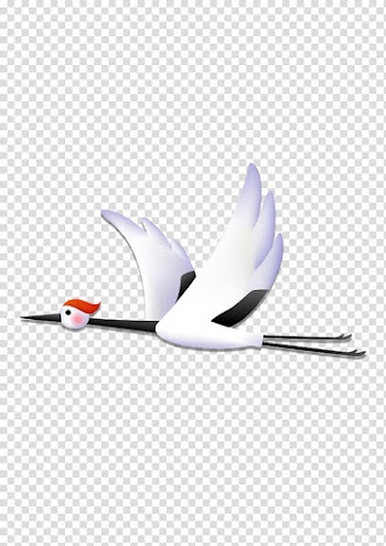 Red-crowned crane , white crane transparent background PNG clipart