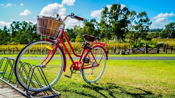 Red Cruiser Bike Parked On Metal Bike Stand