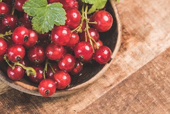 Red Currants on Bowl