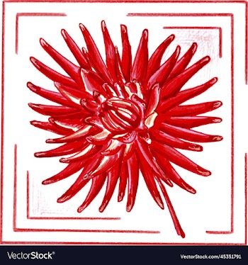 red dahlia in a frame