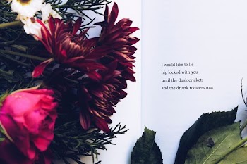 Red Daisies and Pink Roses With Text Overlay