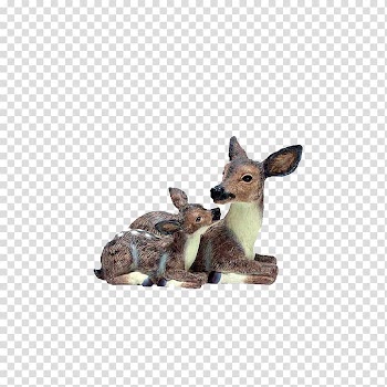 Red deer Elk Roe deer Printing, deer transparent background PNG clipart