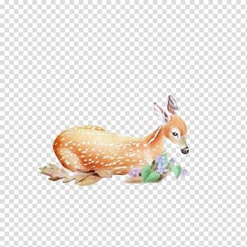 Red deer Roe deer Elk, Deer transparent background PNG clipart