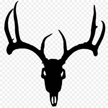 Red deer White-tailed deer Antler Clip art -  
