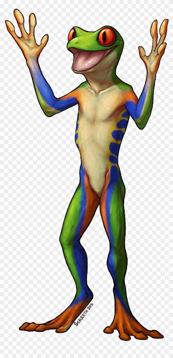 Red Eyed Tree Frog Clipart Transparent - Drawing Red Eyed Tree Frog