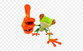 Red Eyed Tree Frog Clipart Transparent - Tree Frogs Red Eye