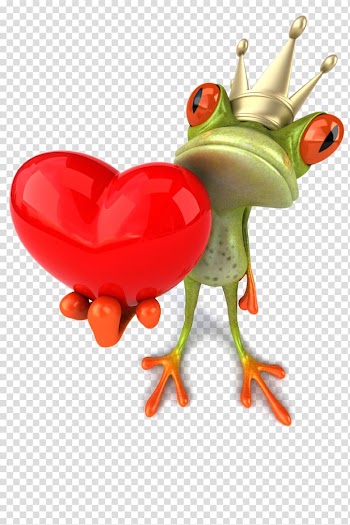Red-eyed tree frog holding heart illustration, Argentine horned frog Valentines Day Heart , frog transparent background PNG clipart
