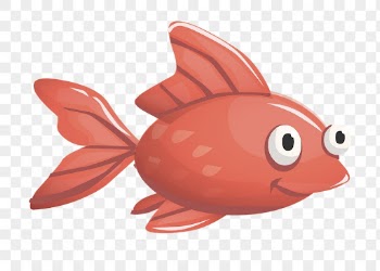 Red fish png sticker, animal | Free PNG - rawpixel