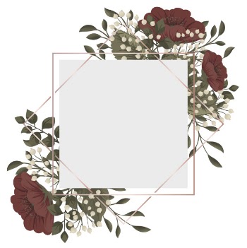 Red floral frame  red and white flowers Free Vector
