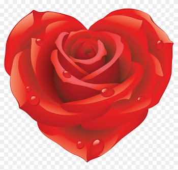 Red Flower Clipart Different Flower - Png Rose